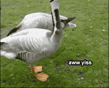 excited bread crumbs GIF