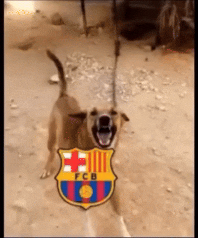 Aloe Vera Barcelona GIF