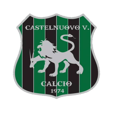 Calcio Abruzzo Sticker by asdcastelnuovocalcio