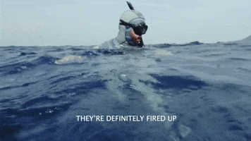 Excited Fired Up GIF by Shark Week