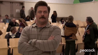 The Whole Point Of America According To Ron Swanson