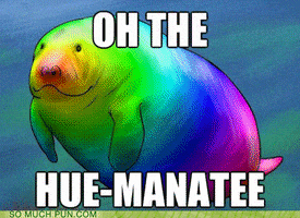 200.gif
