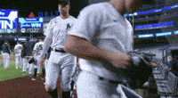 Aaron-judge-running-bases GIFs - Get the best GIF on GIPHY