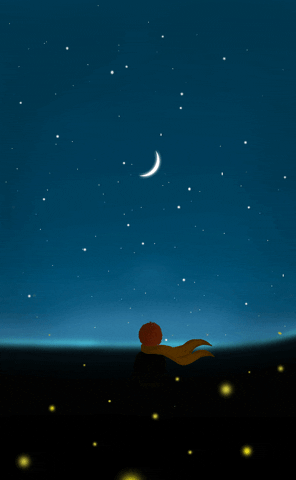 Little Prince Animation GIF by wellemon
