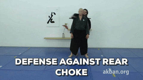 Rear Choke Defense GIFs - Get the best GIF on GIPHY