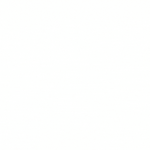 Bodo2024 GIF