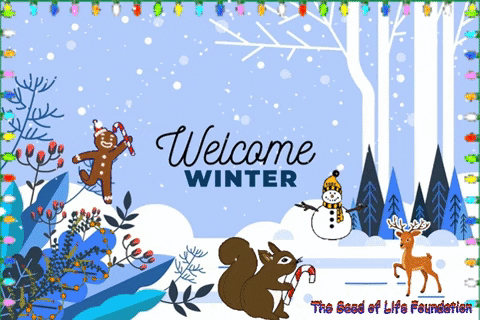 Welcome-winter GIFs - Get the best GIF on GIPHY
