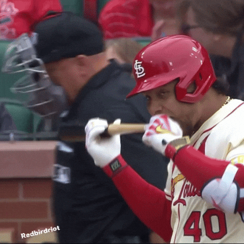 St Louis Cardinals GIF