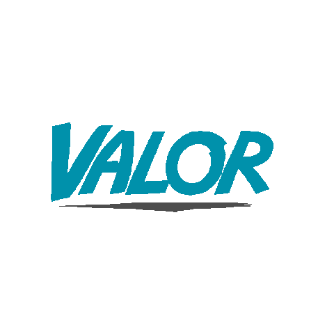 VALOR Agência Digital Sticker
