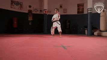 Karate Arc GIF by All-Round Champion