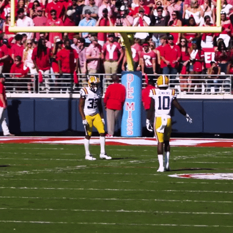 High Five GIF by LSU Tigers
