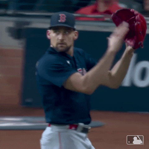 Red Sox Baseball GIF by MLB