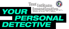 Test Istituto Investigativo Sticker
