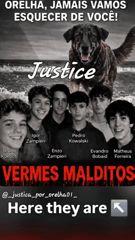 Rainbow Bridge Justice GIF