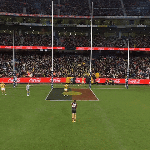 GIF by Essendon FC