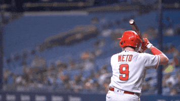 Sport Baseball GIF by Los Angeles Angels