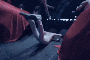 Rolling Loud Xavier GIF