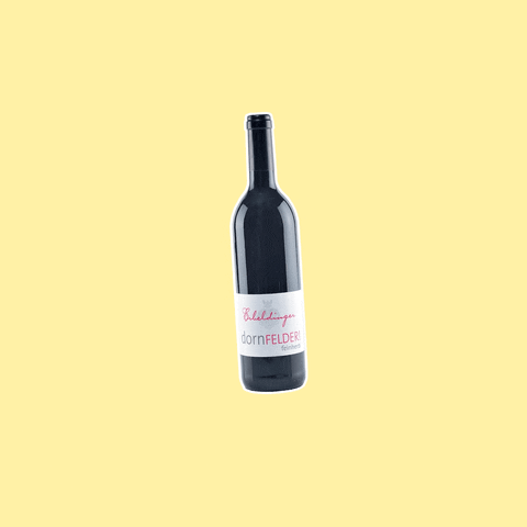 Red Wine Cheers GIF by Weingut Erbeldinger