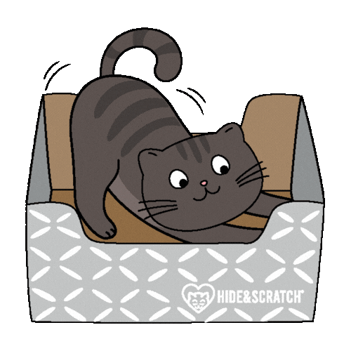 Happy Cat If I Fits I Sits Sticker by Hide & Scratch