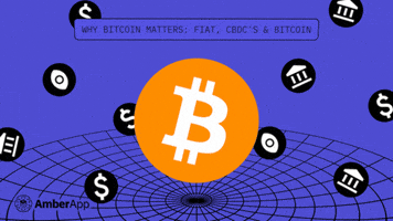 Money Bitcoin GIF by AmberApp