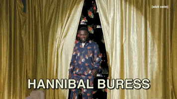 Hannibal Buress GIF by Adult Swim