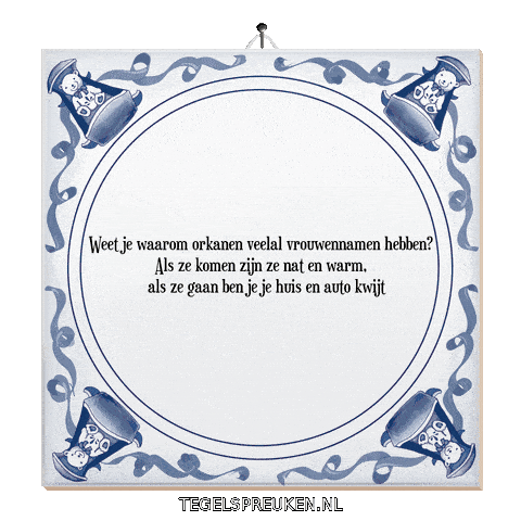 Humor Storm Sticker by Tegelspreuken.nl