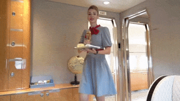 Cabin Crew Cheers GIF by Comlux