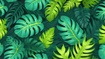 GIF by TeaCosyFolk