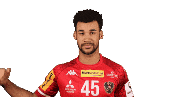 HandballAustria Sticker