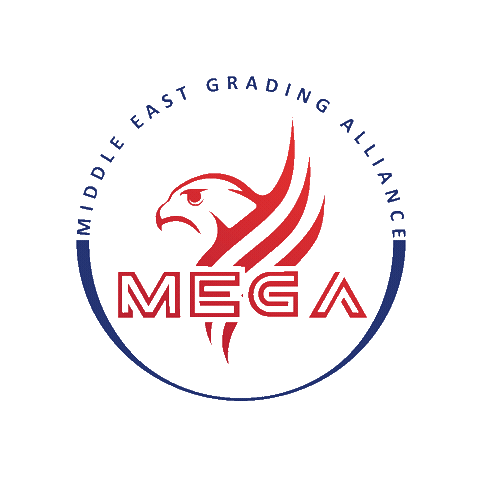 Megagrading Sticker by MEGA