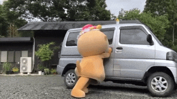 Chiitan GIF
