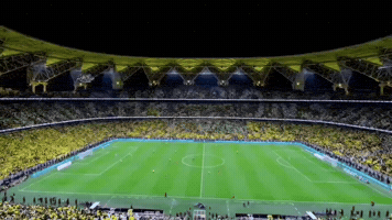 الاتحاد GIF