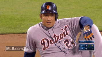 Major League Baseball What GIF by Detroit Tigers
