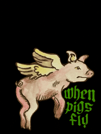 When Pigs Fly Pig GIF