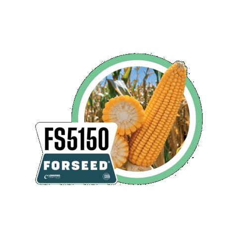 Forseedsementes Sticker by Longping High Tech