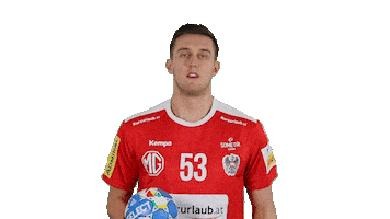 Handball Austria Sticker