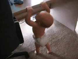 Video gif. A baby wearing nothing but a diaper grabs the edge of a desk and pulls itself upward using just its arms. A baby doing a pull-up!