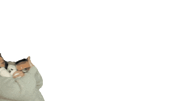 kropkawkreski Sticker