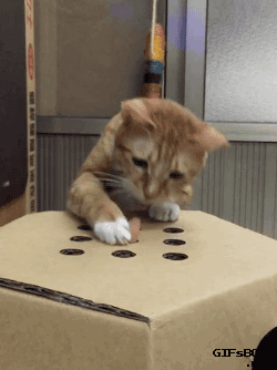 source.gif