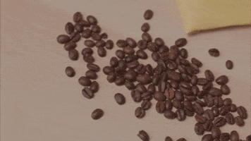 Cup Of Coffee GIF by GIPHY Studios Originals