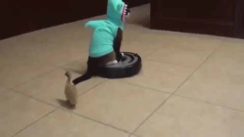 Vacuum Cleaner Cat GIF by Banggood