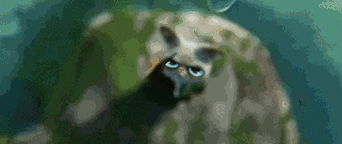 Eyes Fu GIF - Find & Share on GIPHY