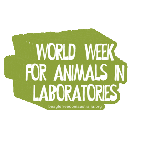 Beagle Freedom Australia Sticker