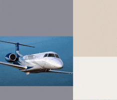 Honeywell Landing Light Motor Repair GIF