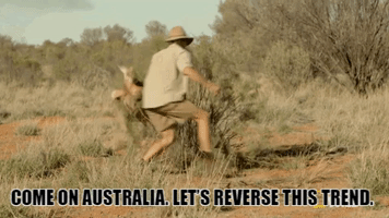 Kangaroo Chase GIF