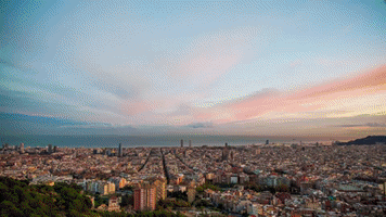 Passion Blockchain GIF