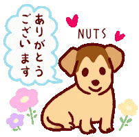 Thanks Thank You Sticker