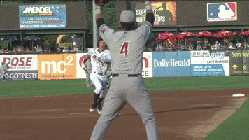 slide GIF by Kane County Cougars