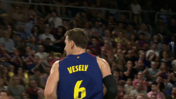Basketball GIF