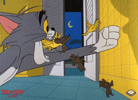 Tom And Jerry Cat GIF by Boomerang Official